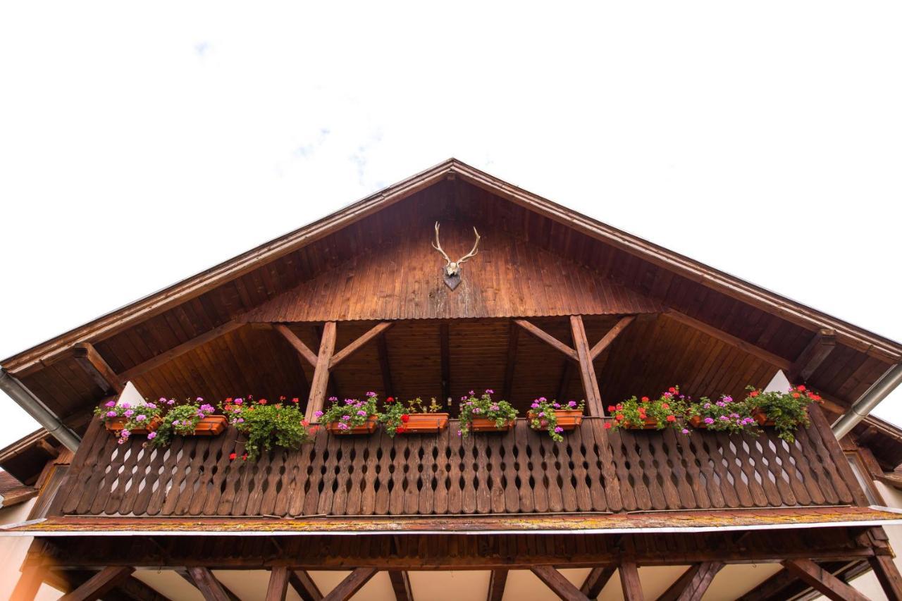 Pensiunea Sachsenhof Bagaciu Exterior foto